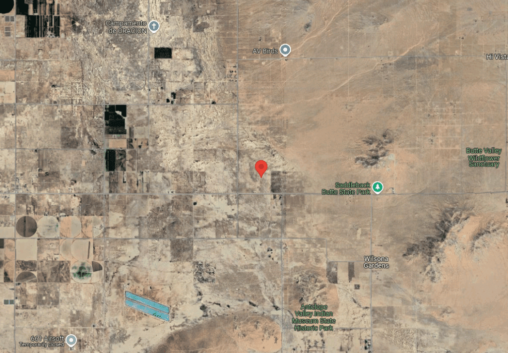Google Satelite Image - 3