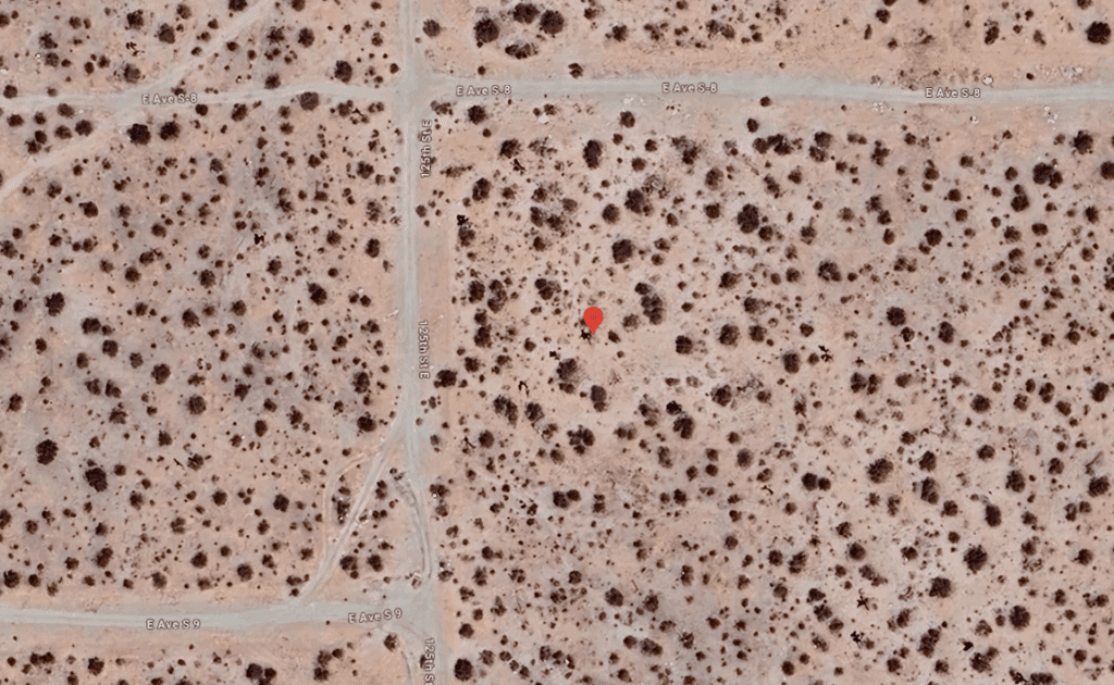 Google Satelite view - 1