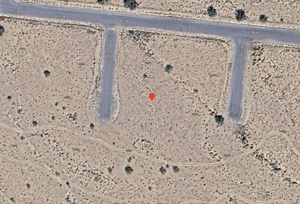 Google satelite view - 1