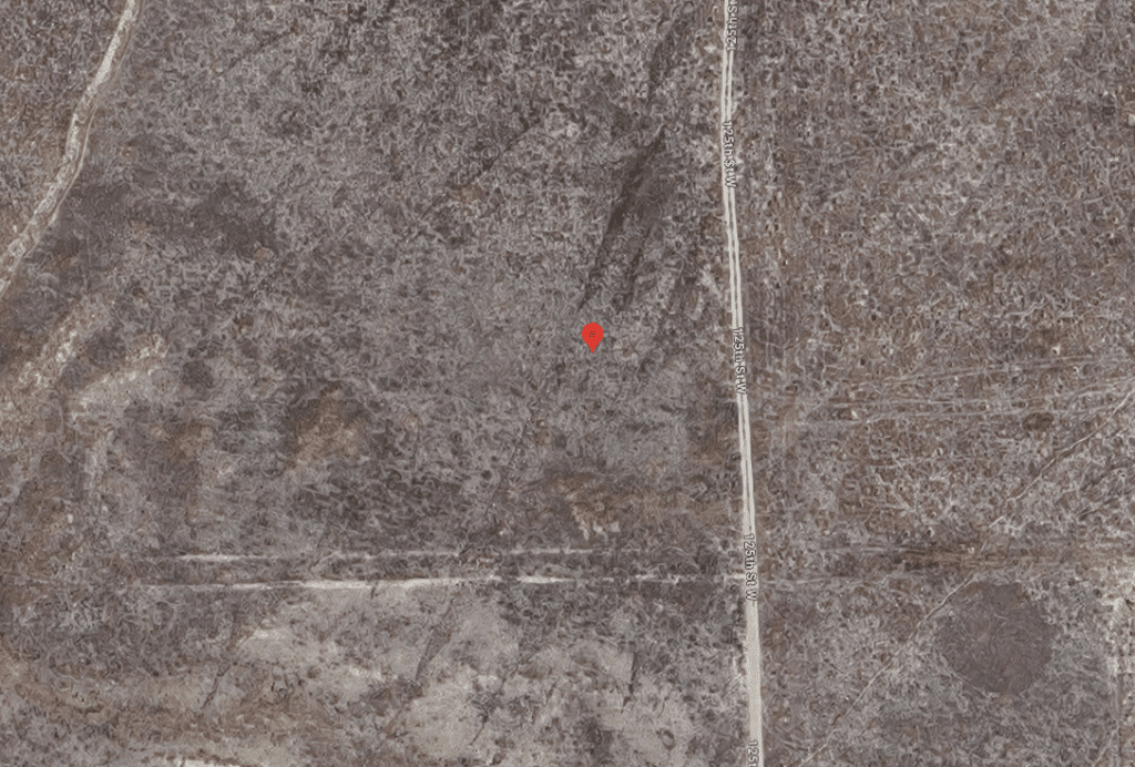 Google satelite view - 1(1)
