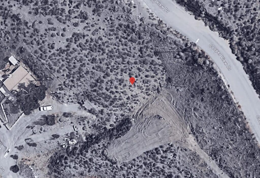 Google satelite image-1