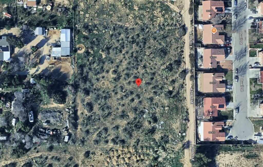 Google satelite image - 1