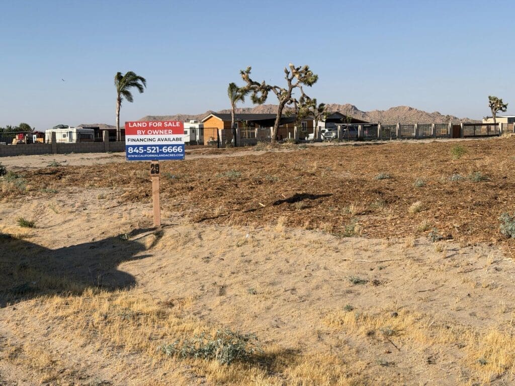 Property Picture 1